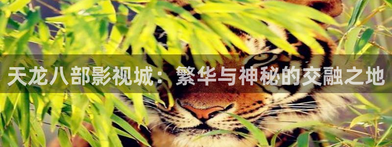 红叶影视app官方下载：天龙八部影视城：繁华与神秘的交融之地