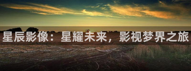电影红叶：星辰影像：星耀未来，影视梦界之旅