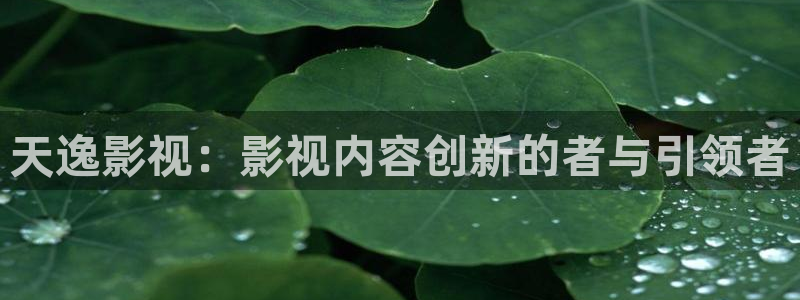 红叶影视下载：天逸影视：影视内容创新的者与引领者
