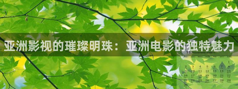 红叶影院免费观看电视剧：亚洲影视的璀璨明珠：亚洲电影的独特魅力