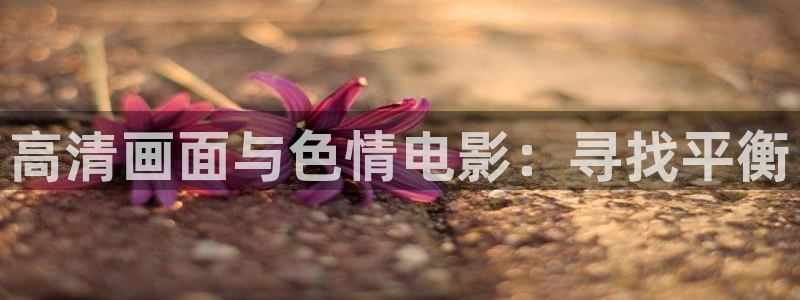 六安红叶国际影城：高清画面与色情电影：寻找平衡